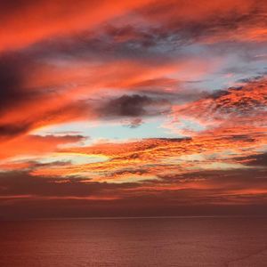 Meet your Posher, Ellen